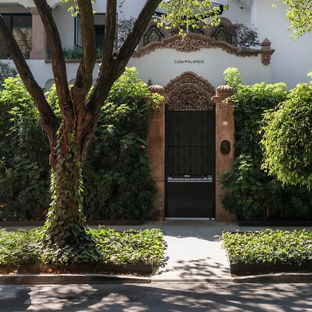 Casa Polanco Hotel Boutique-2
